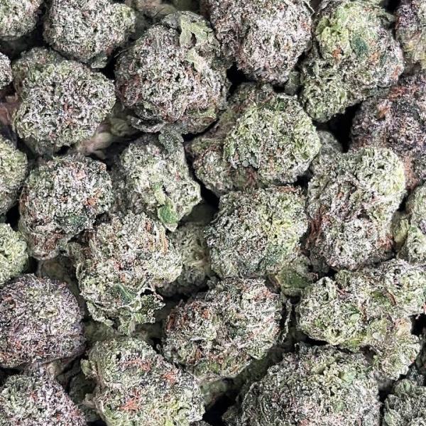 Purple Unicorn Smalls - PK658