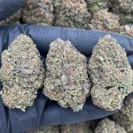 Wedding Cake - PK662