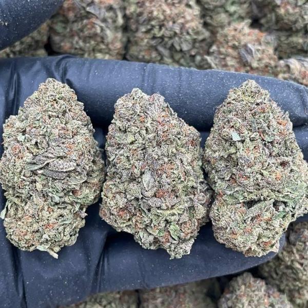 Wedding Cake - PK662