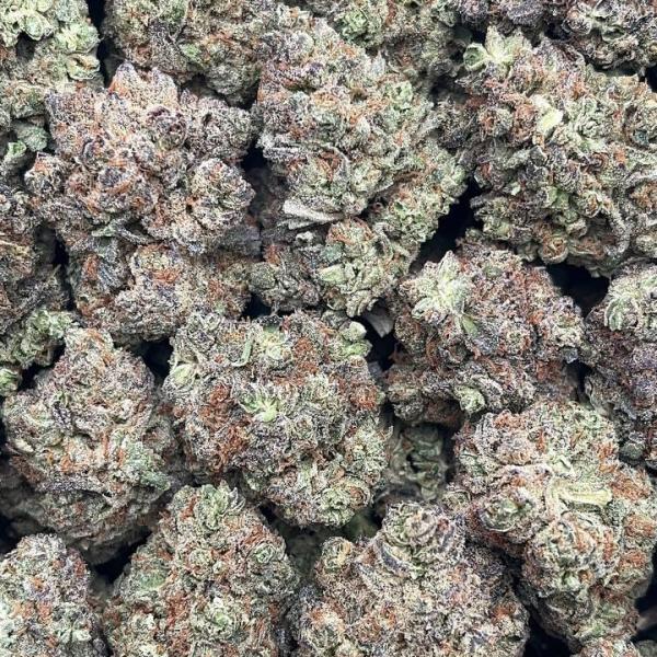 White Truffle - PK655