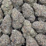 Purple Runtz - PK710