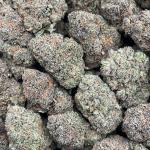 Lemon Cherry Gelato - PK691