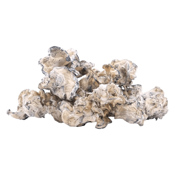 Enigma | Magic Mushrooms | Ounce