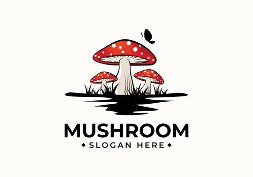 buymushroomsonlineusa.com