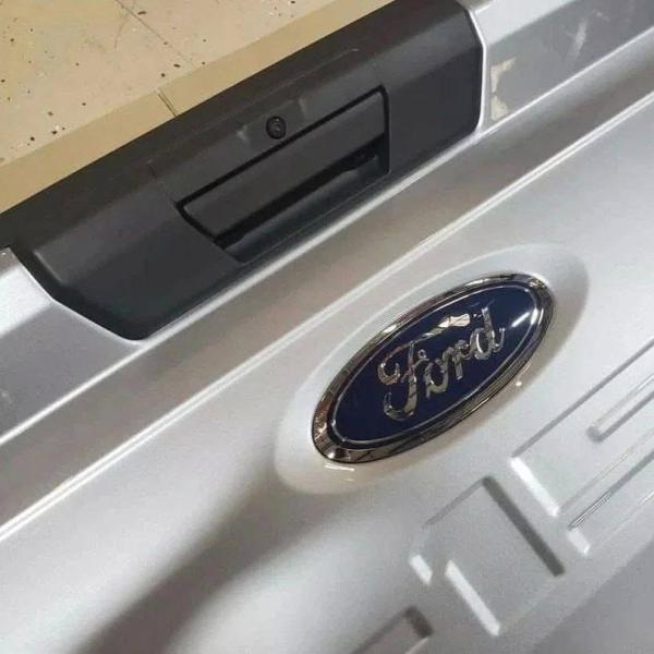 Ford F-150 lonic Silver Tailgate OEM