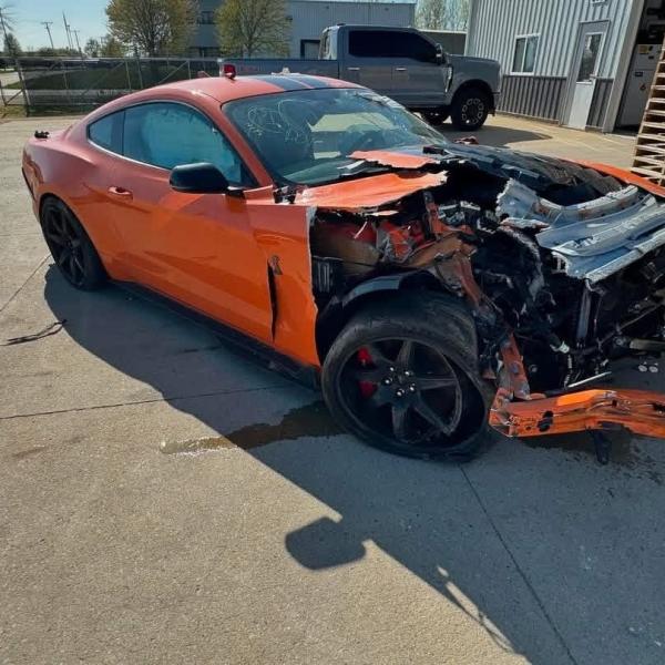 2020 GT500 cftp painted stripes.