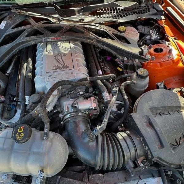 2020 GT500 cftp painted stripes.