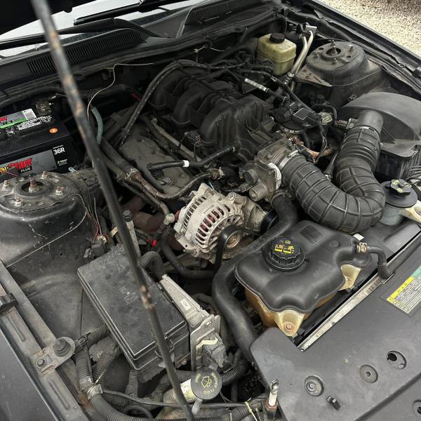 2006 Mustang complete part out