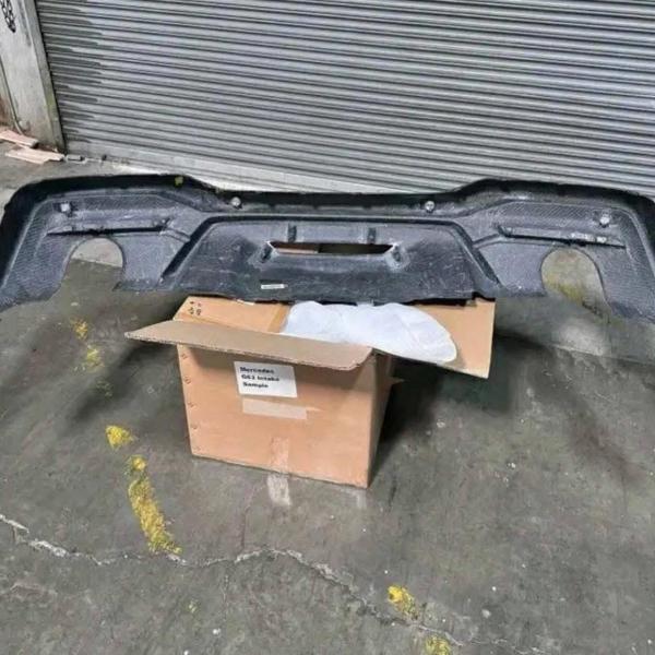 Mustang Carbon Fiber GT