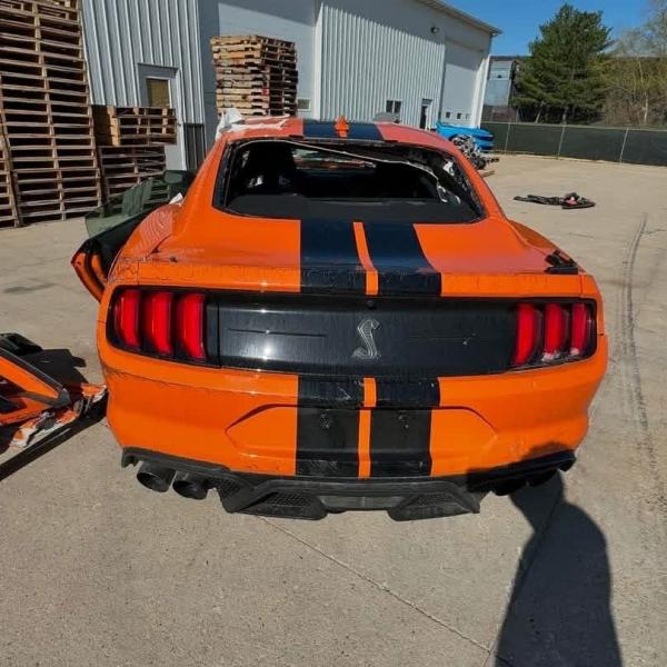 2020 GT500 cftp painted stripes.