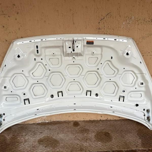 Like-New Ford Figo Bonnet (2015-2018) - Shine Like Factory Fresh!