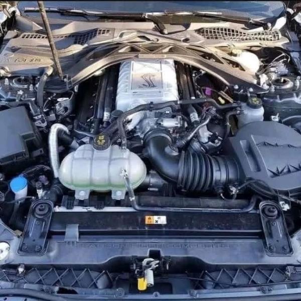 2020 mustang Shelby up for parting.