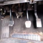 Ford focus EcoBoost 1.0 2015