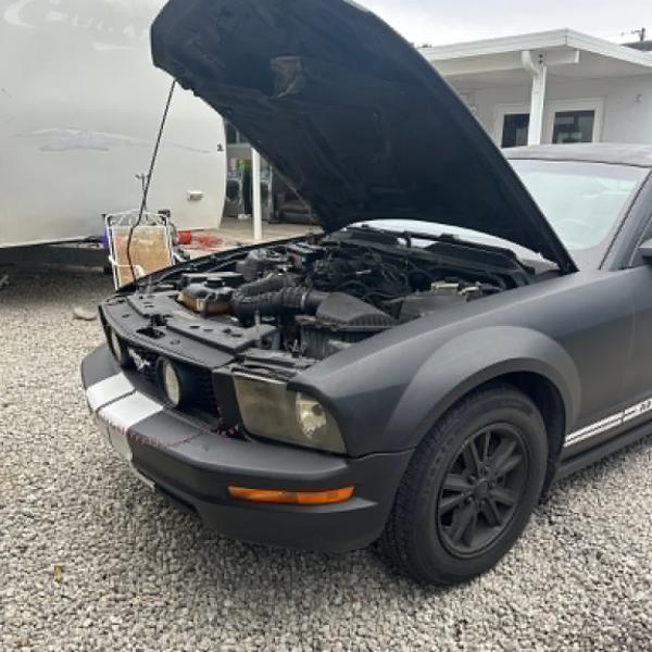 2006 Mustang complete part out