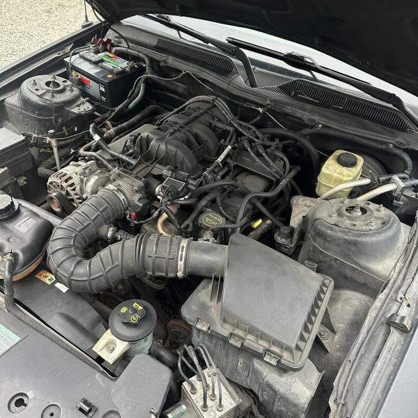 2006 Mustang complete part out