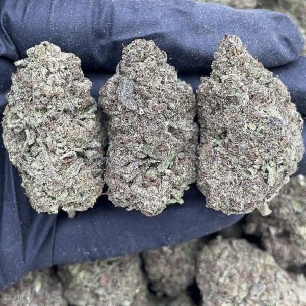 Dawg Breath