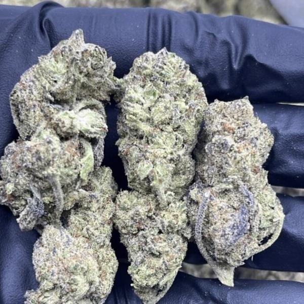 GELATO CAKE