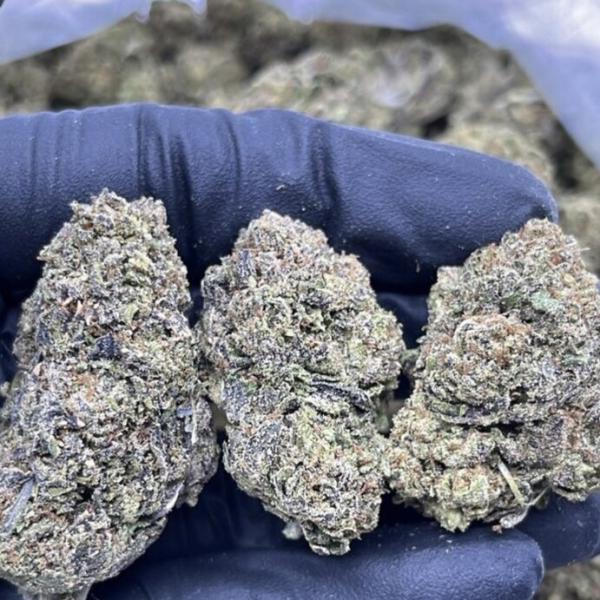 CALI GOLD