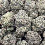 LEMON CHERRY GUSHERZ