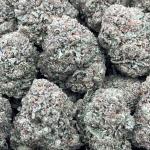 TROPICANA COOKIES
