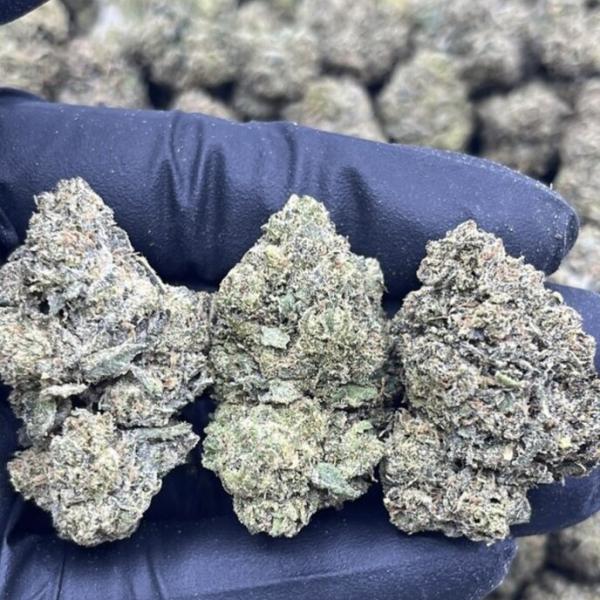 CRITICAL MASS