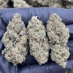 Cookies & Cream