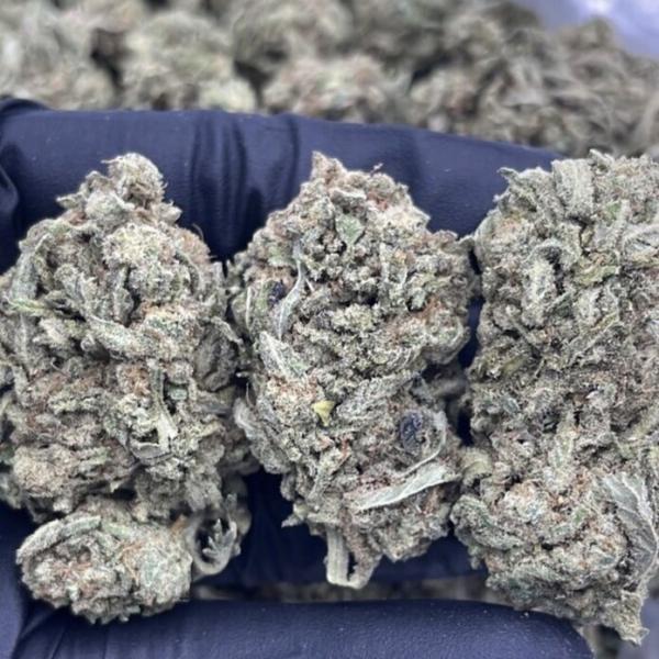 MAUI WOWIE