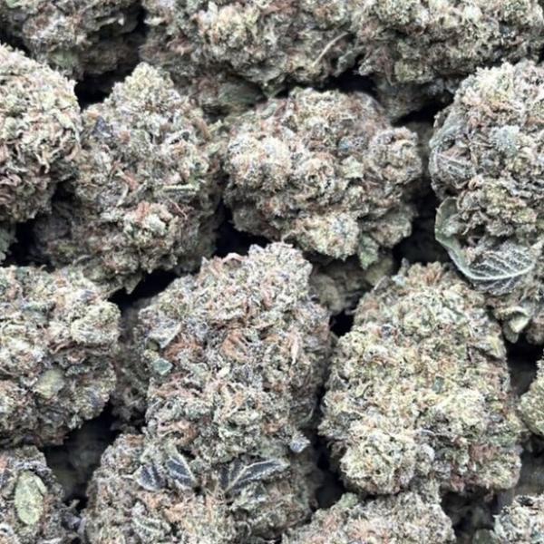 CITRUS DREAM
