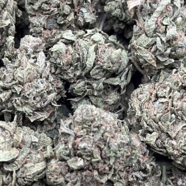 GRAPE STOMPER