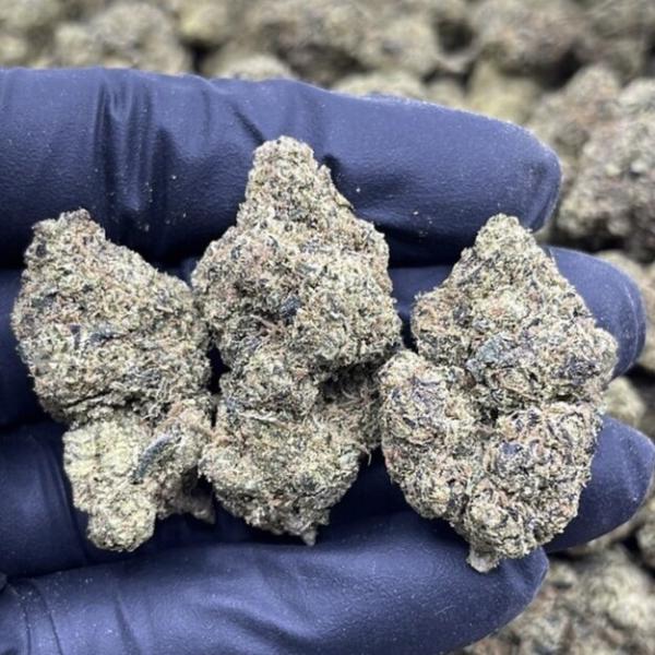 VIOLET BERRY