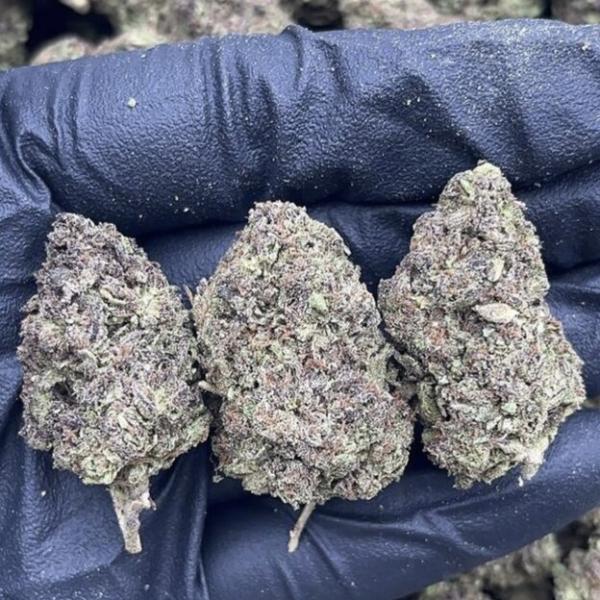 Pink Sugar