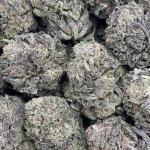 Amnesia Haze