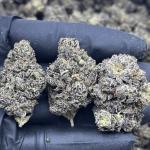 ORIGINAL Z (ZKITTLEZ)