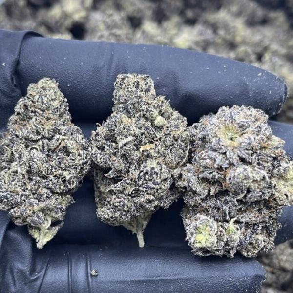 ORIGINAL Z (ZKITTLEZ)