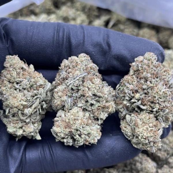MANGO HAZE