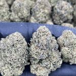 CHERRY PUNCH