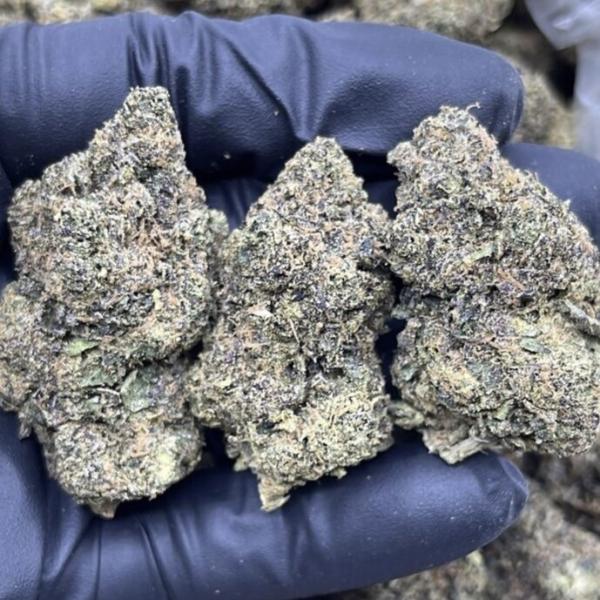LEMON CHERRY GUSHERZ