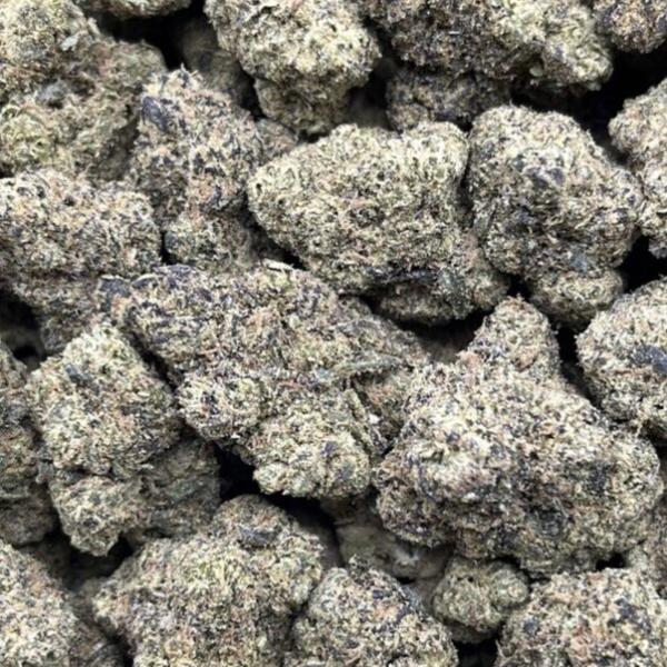 VIOLET BERRY