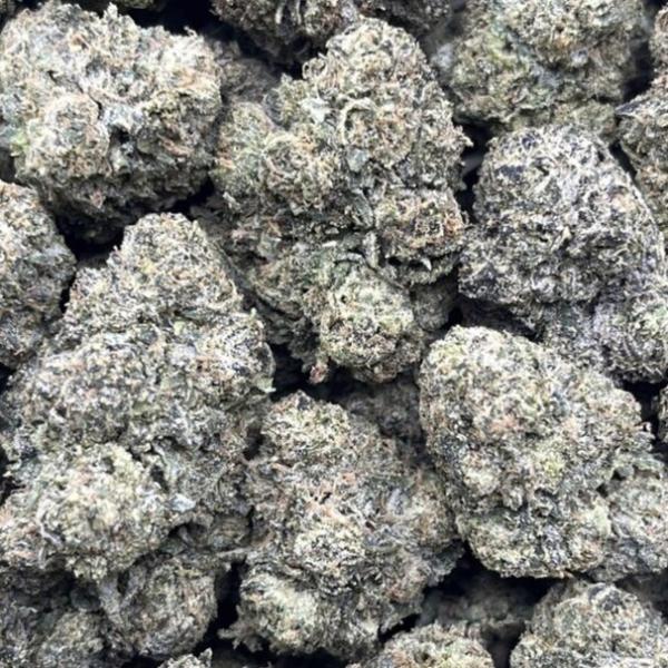 CRITICAL MASS