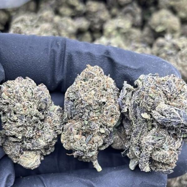 PINK GUAVA