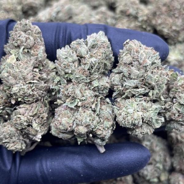 CITRUS CHERRY