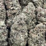 SHERB CREAM PIE
