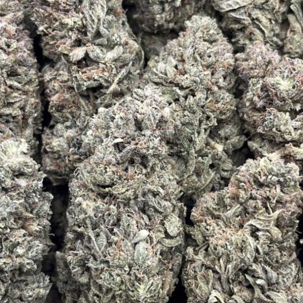 SHERB CREAM PIE