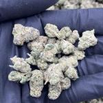 BLUEBERRY HEADBAND