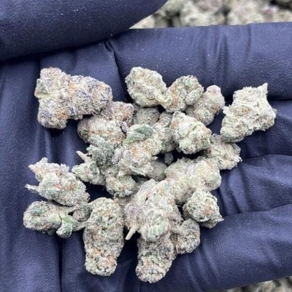 BLUEBERRY HEADBAND