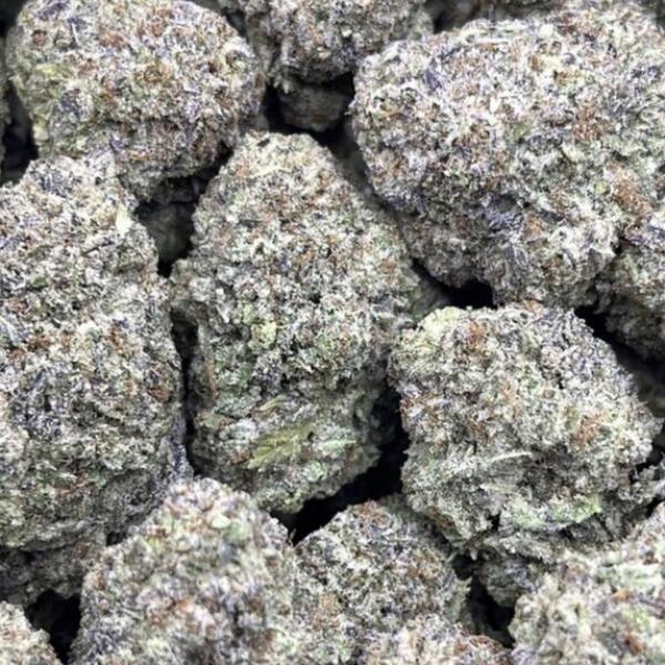 GELATO RUNTZ