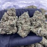 SHERB CREAM PIE