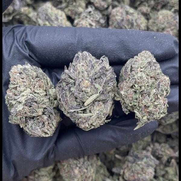 Amnesia Haze