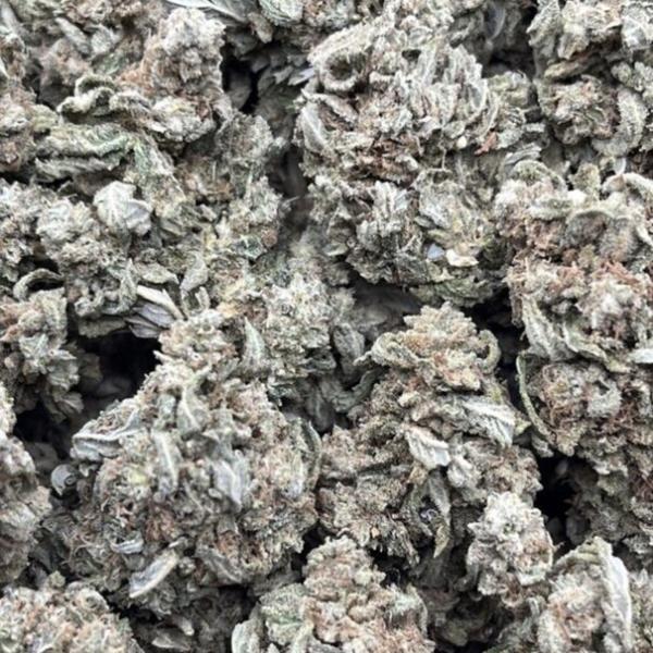 ALIEN COOKIES