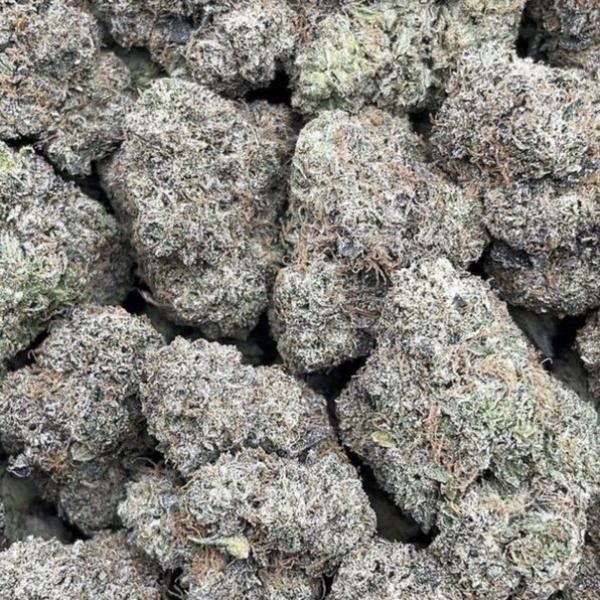 Gelato Sundae